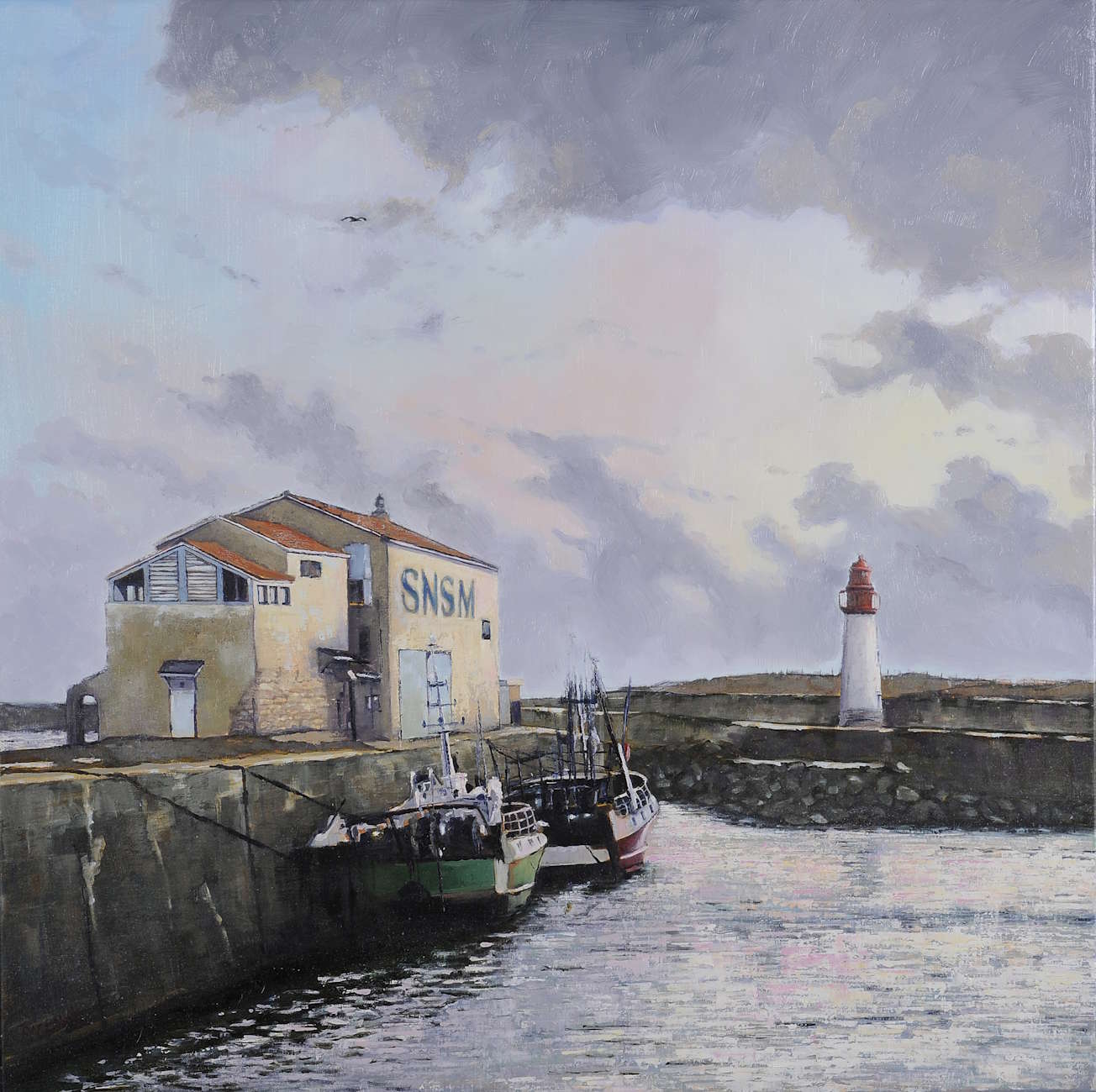 Seagull- Painting by Amanda Rackowe. Oil on linen